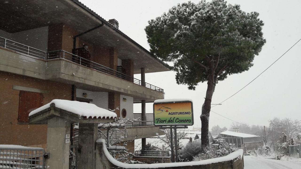 Fiori Del Conero Villa Ancona Bagian luar foto